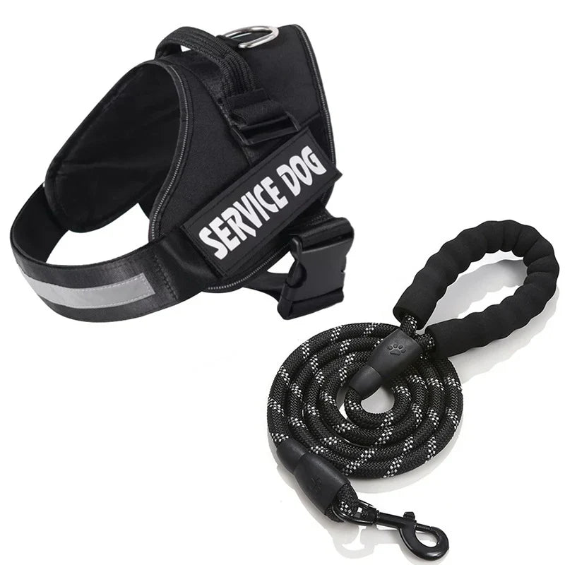 Aven Personalized No Pull Dog Harness