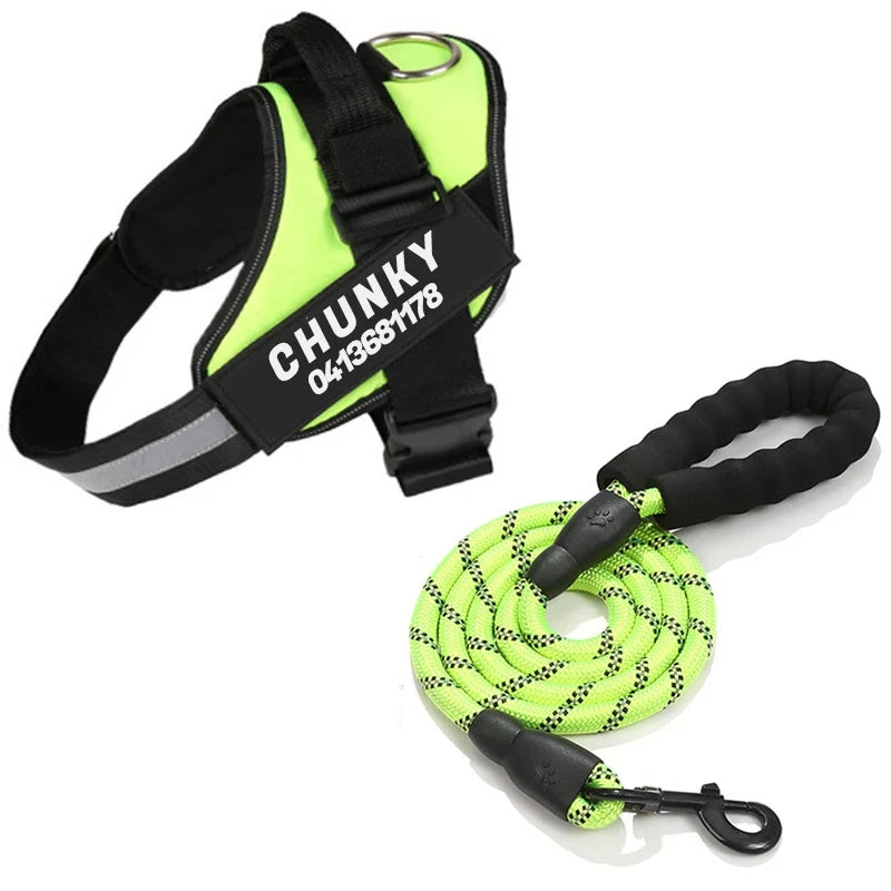 Aven Personalized No Pull Dog Harness