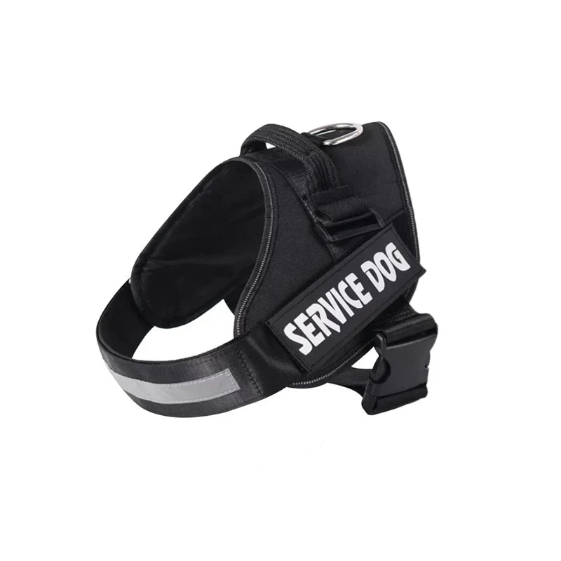 Aven Personalized No Pull Dog Harness