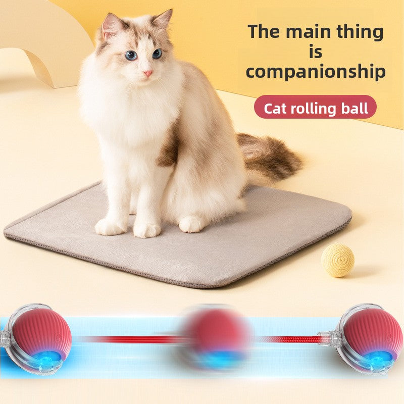 Automatic Electric Rolling Pet Toy Ball