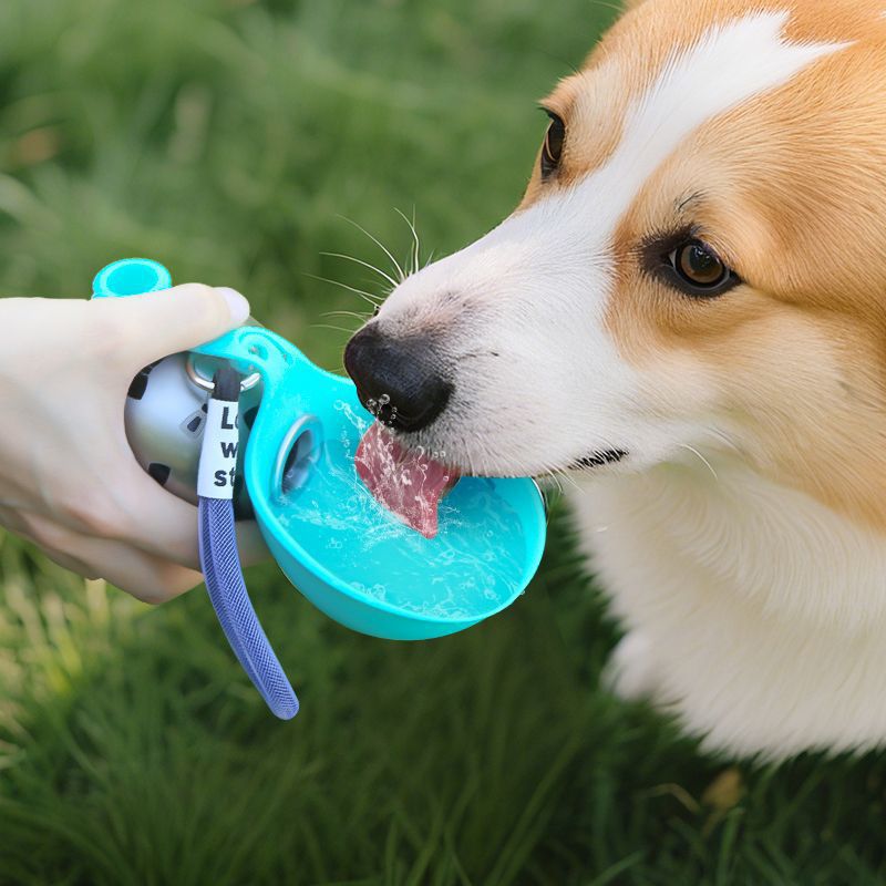 Dog water bottle