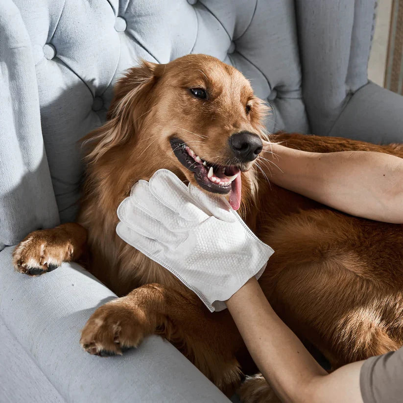 Aven Glove Wipes For Pets