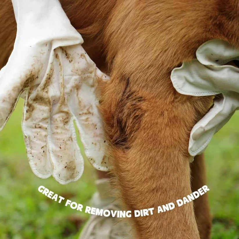 Aven Glove Wipes For Pets