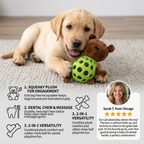 Aven 2-in-1 Bear Dog Toy