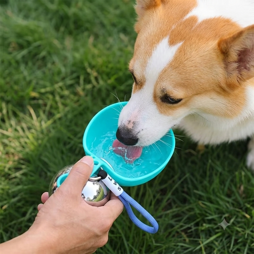 Aven 2-in-1 Dog Travel Water Bottle