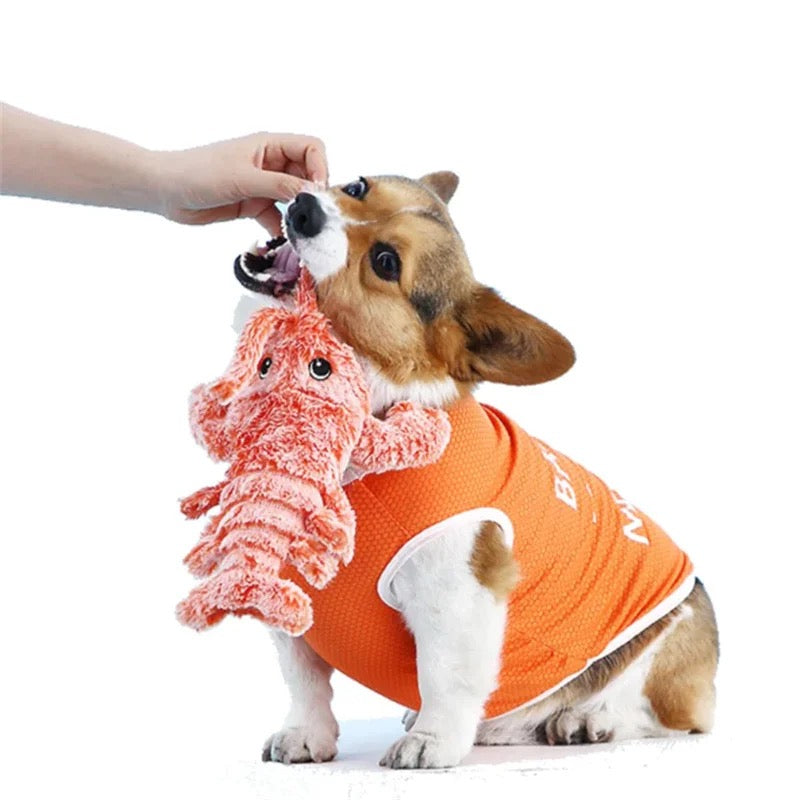 Aven Wiggly Lobster Interactive Dog Toy