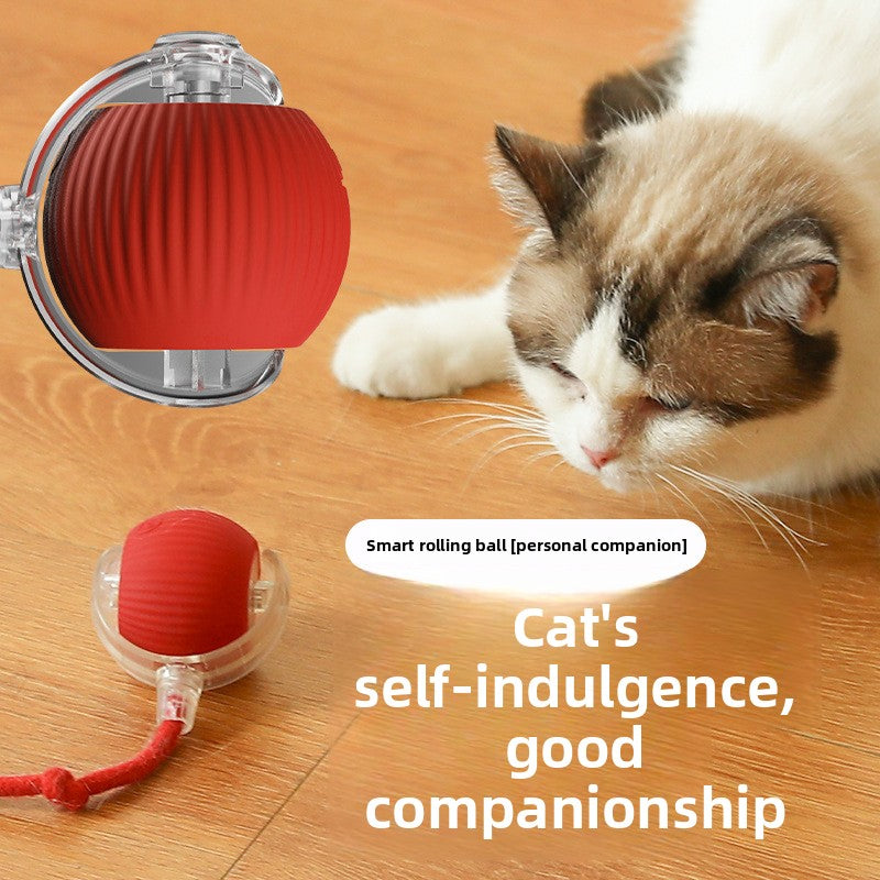 Automatic Electric Rolling Pet Toy Ball
