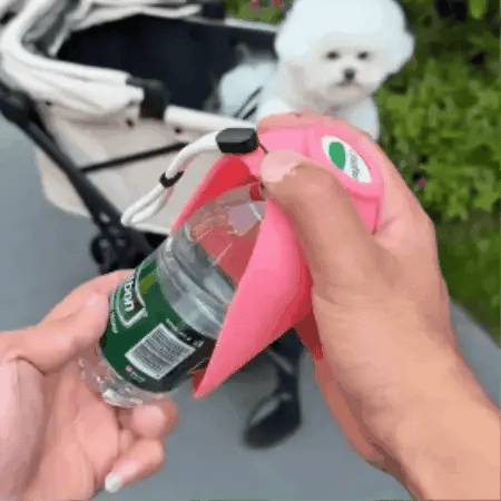 giphy_-_2026-05-27T141939.556.webp