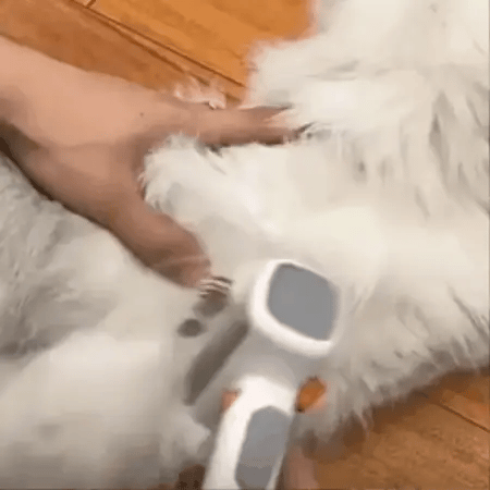 giphy_38_eb05b071-d155-447e-9371-d1d107994743.webp