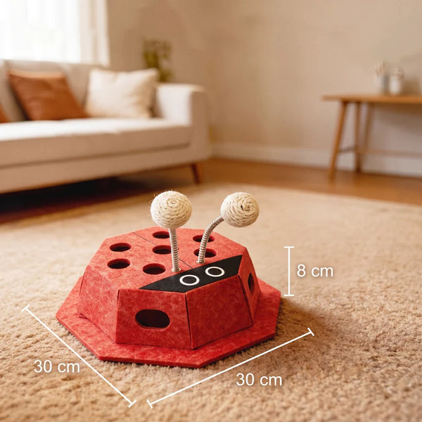 ladybugcats.webp