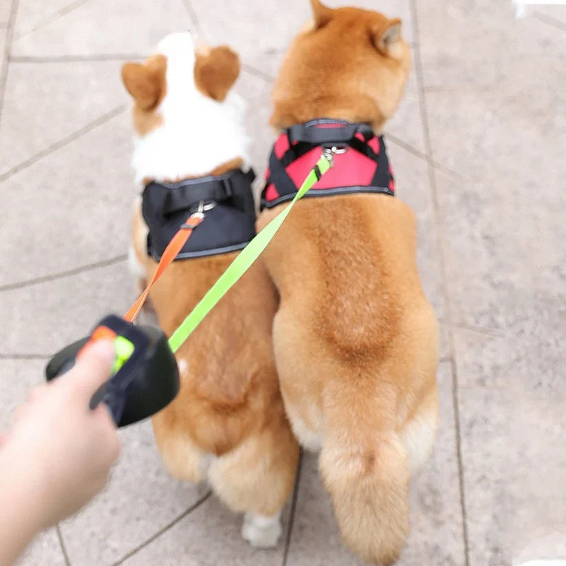 Aven Tangle-Free Dual Dog Leash