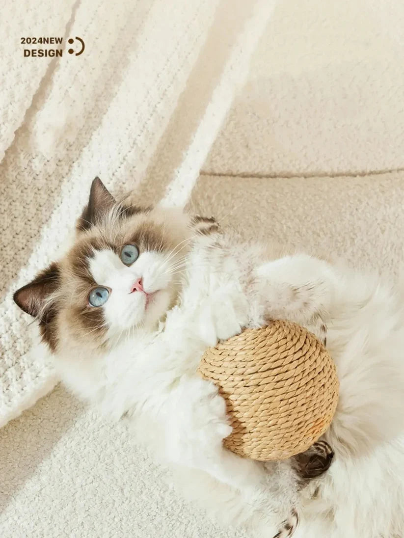 Aven Interactive Cat Scratching Ball