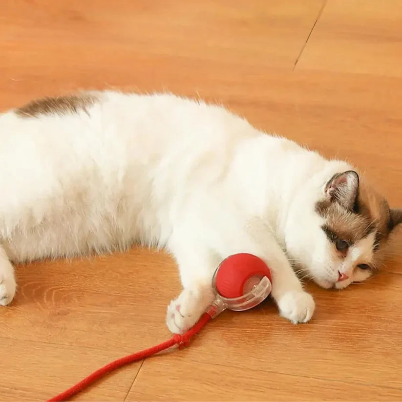 Aven Interactive Rolling Ball with Tail Cat Toy
