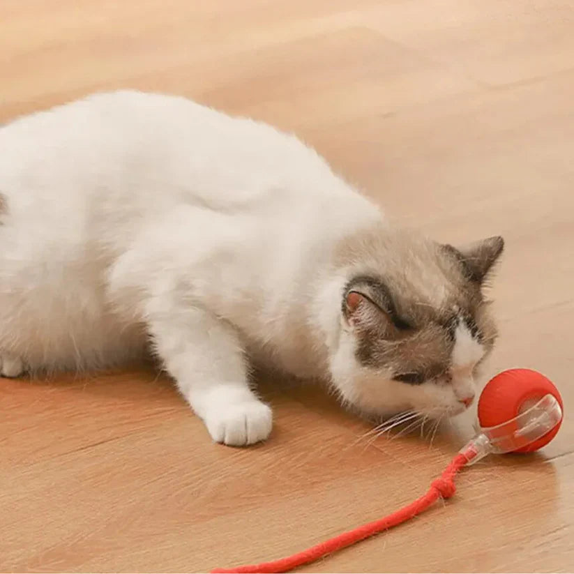 Aven Interactive Rolling Ball with Tail Cat Toy