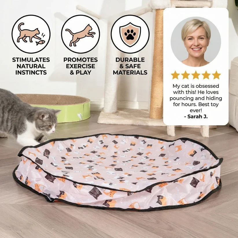 Aven Interactive Rolling Ball Play Kit Cat Toy