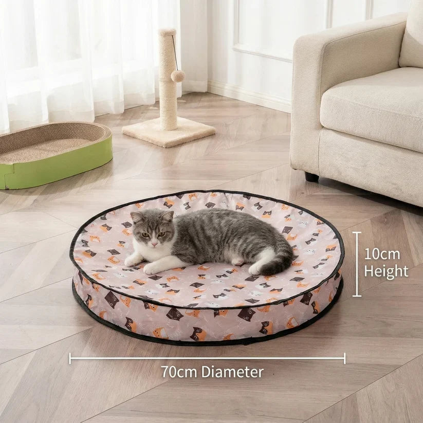 Aven Interactive Rolling Ball Play Kit Cat Toy