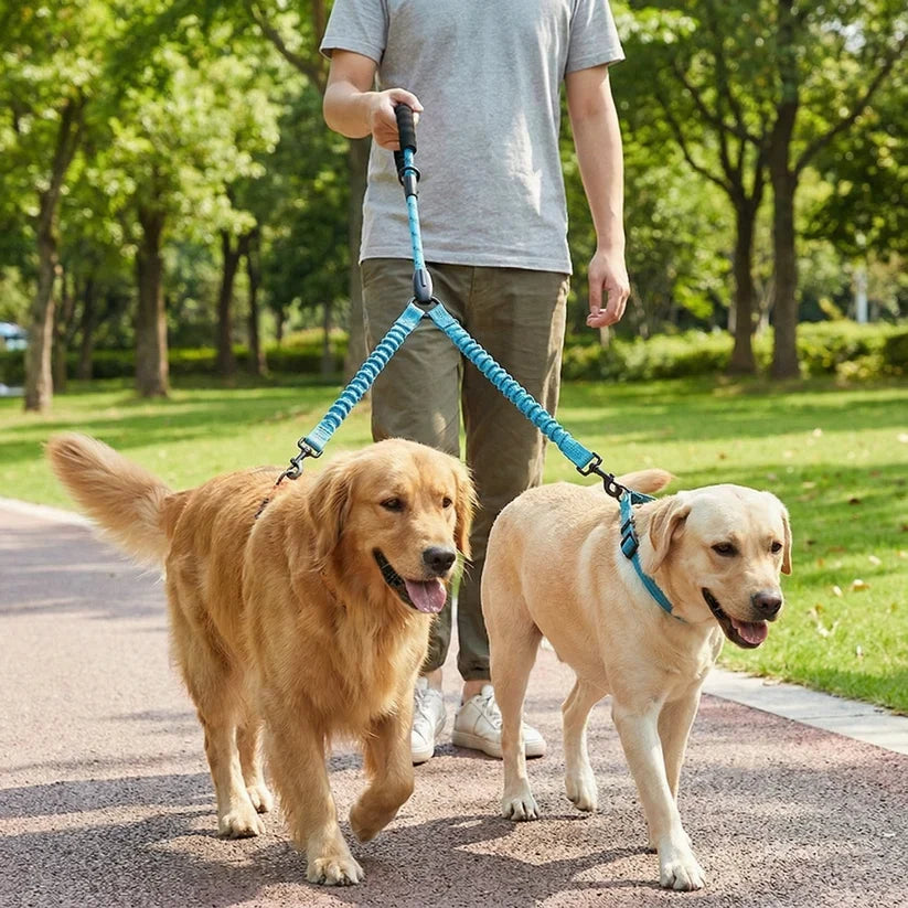 Aven 2-in-1 Double Dog Lead with 360° Swivel